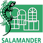 Salamander